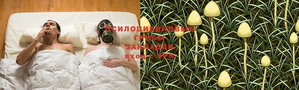 mdpv Бугульма